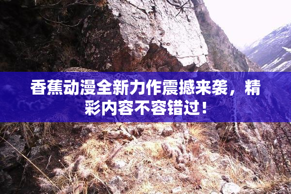 香蕉动漫全新力作震撼来袭，精彩内容不容错过！