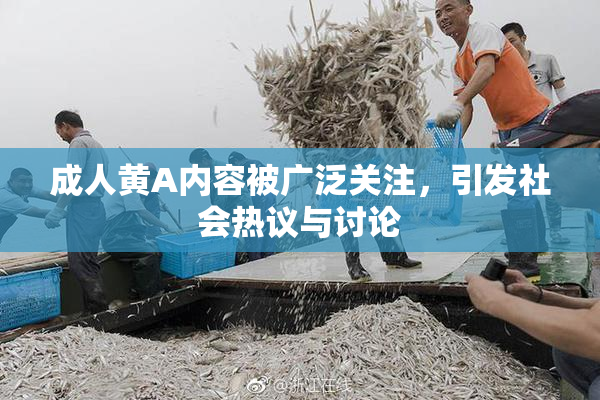 成人黄A内容被广泛关注，引发社会热议与讨论