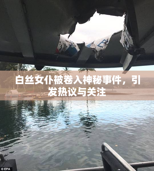 白丝女仆被卷入神秘事件，引发热议与关注