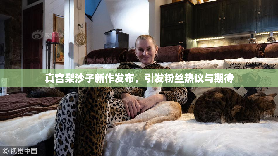 真宫梨沙子新作发布，引发粉丝热议与期待