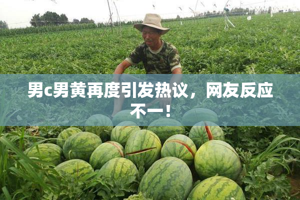 男c男黄再度引发热议，网友反应不一！