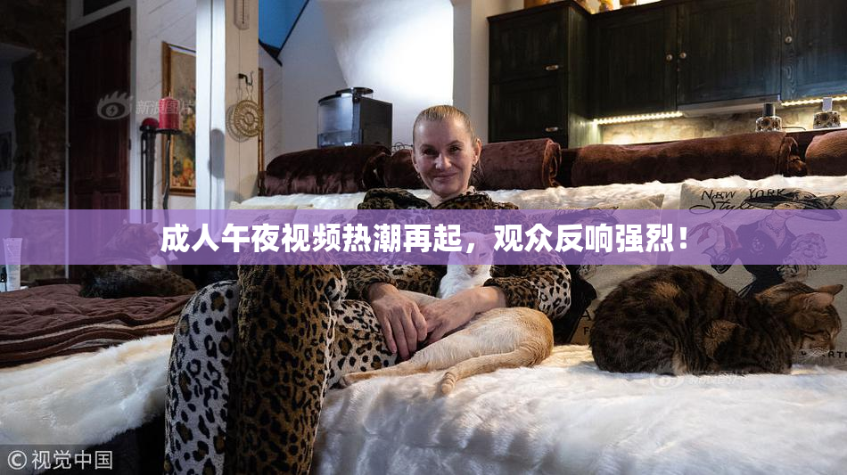 成人午夜视频热潮再起，观众反响强烈！