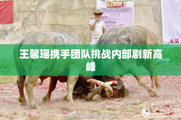 王馨瑶携手团队挑战内部剧新高峰