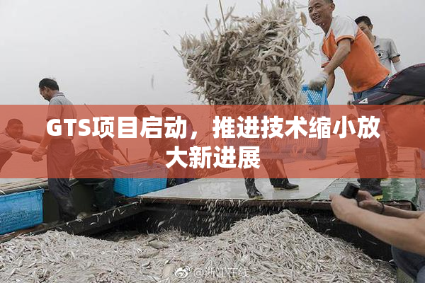 GTS项目启动，推进技术缩小放大新进展