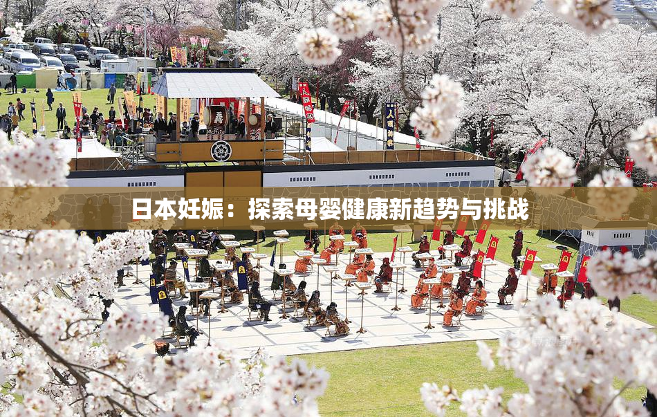 日本妊娠：探索母婴健康新趋势与挑战