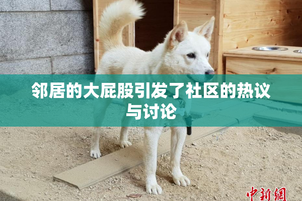 邻居的大屁股引发了社区的热议与讨论