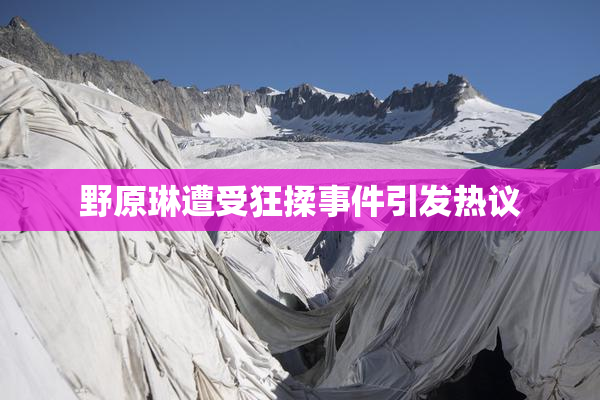野原琳遭受狂揉事件引发热议