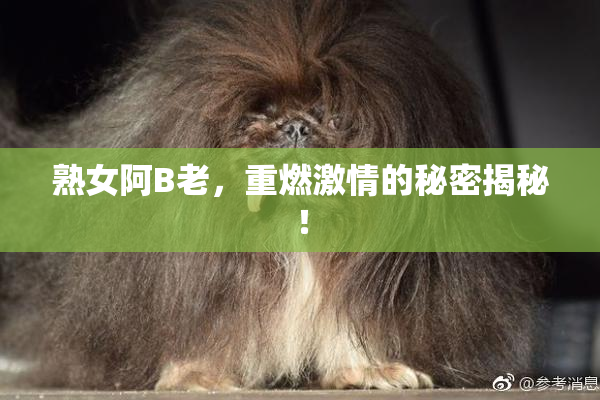 熟女阿B老，重燃激情的秘密揭秘！