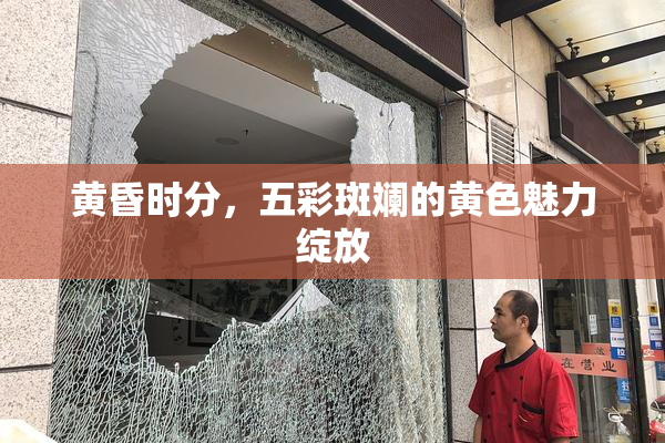 黄昏时分，五彩斑斓的黄色魅力绽放