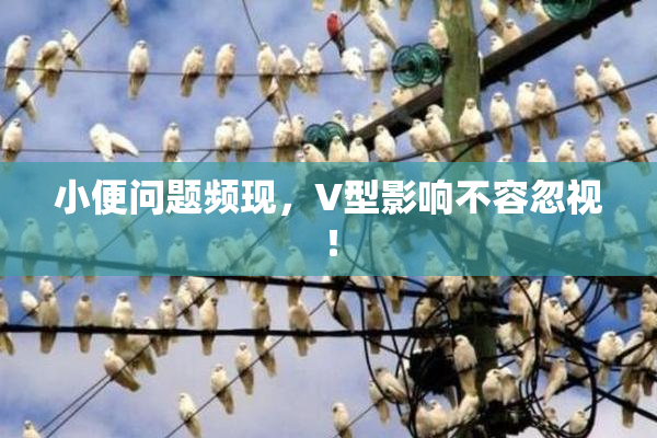 小便问题频现，V型影响不容忽视！