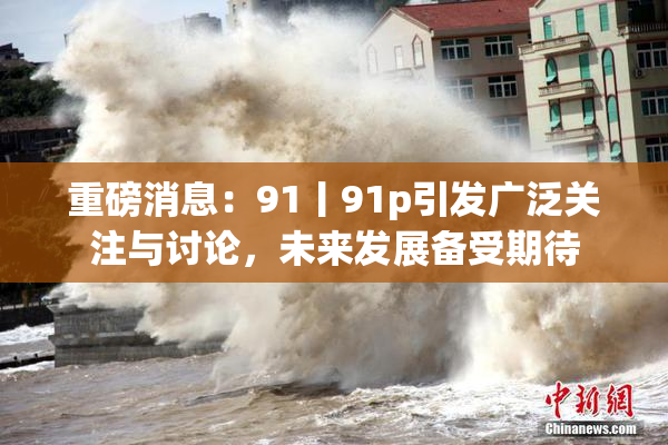 重磅消息：91丨91p引发广泛关注与讨论，未来发展备受期待