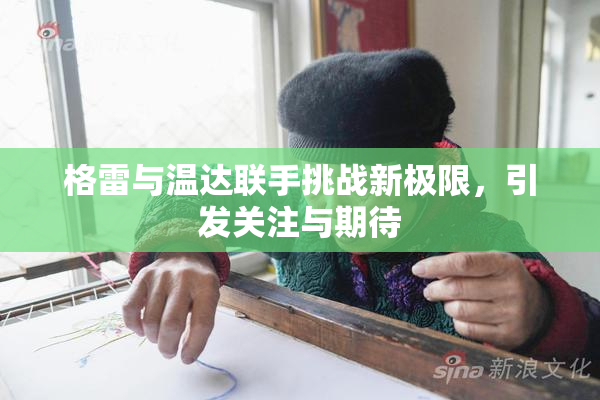 格雷与温达联手挑战新极限，引发关注与期待