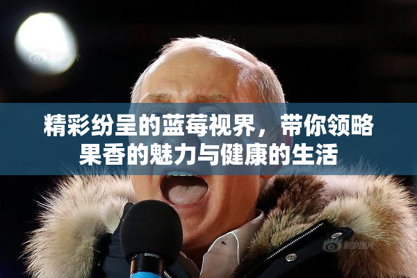 精彩纷呈的蓝莓视界，带你领略果香的魅力与健康的生活