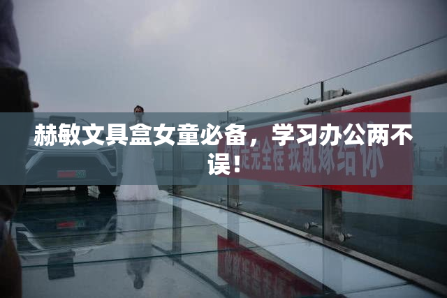 赫敏文具盒女童必备，学习办公两不误！