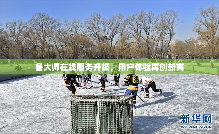 鲁大师在线服务升级，用户体验再创新高