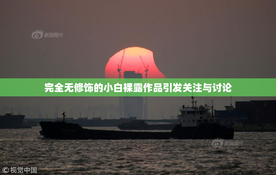 完全无修饰的小白裸露作品引发关注与讨论