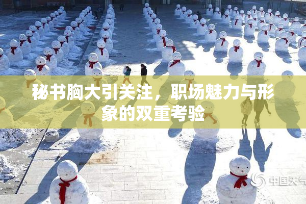 秘书胸大引关注，职场魅力与形象的双重考验