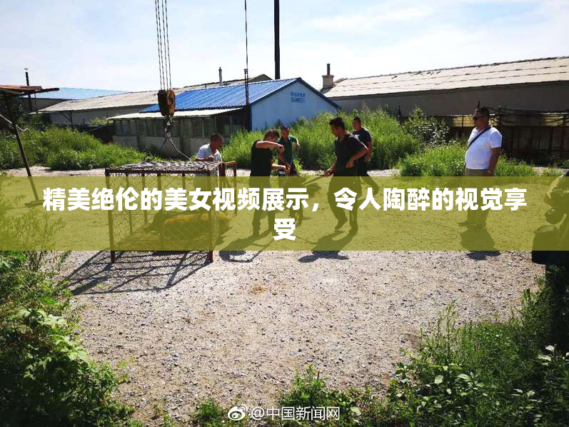 精美绝伦的美女视频展示，令人陶醉的视觉享受