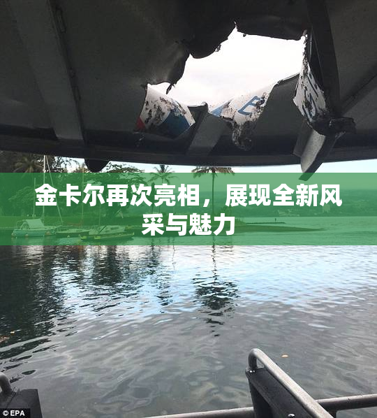 金卡尔再次亮相，展现全新风采与魅力