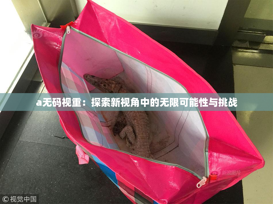a无码视重：探索新视角中的无限可能性与挑战