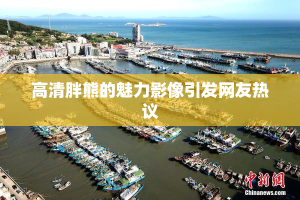 高清胖熊的魅力影像引发网友热议