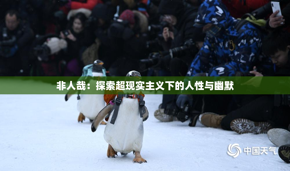 非人哉：探索超现实主义下的人性与幽默