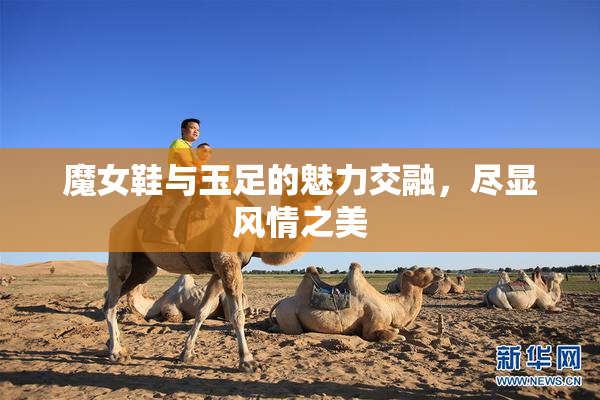 魔女鞋与玉足的魅力交融，尽显风情之美