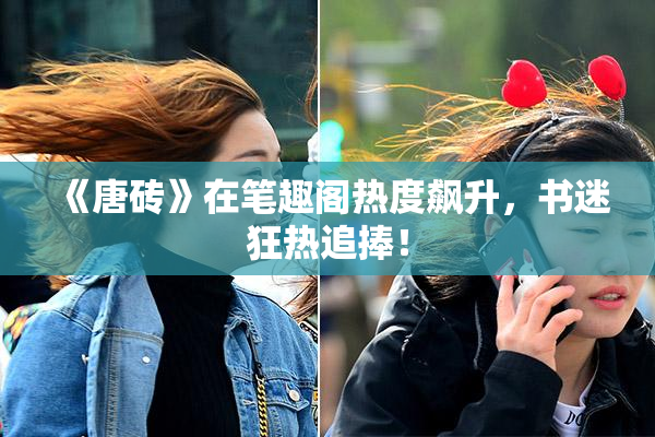 《唐砖》在笔趣阁热度飙升，书迷狂热追捧！