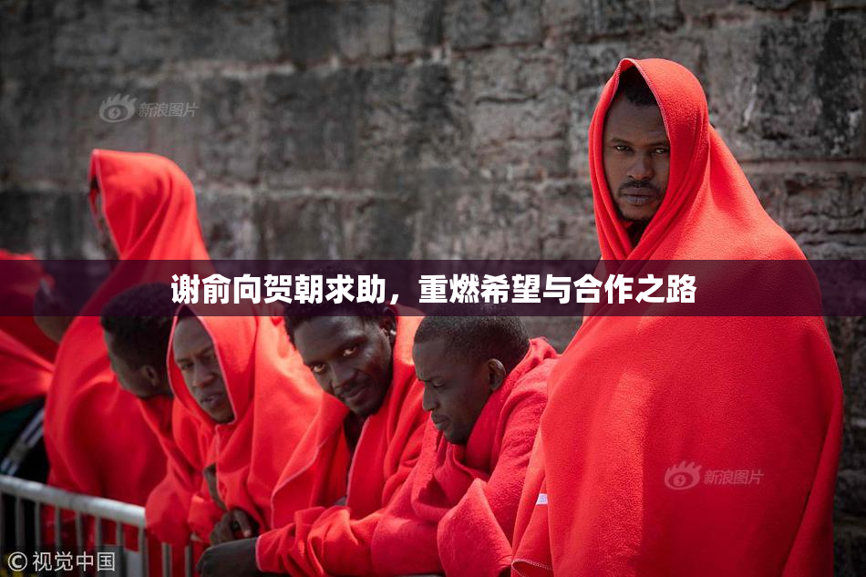谢俞向贺朝求助，重燃希望与合作之路