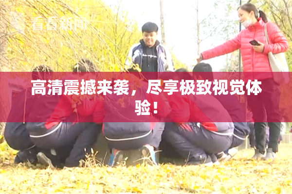 高清震撼来袭，尽享极致视觉体验！
