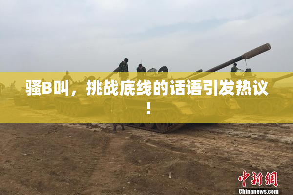 骚B叫，挑战底线的话语引发热议！