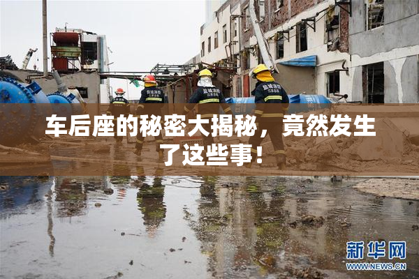 车后座的秘密大揭秘，竟然发生了这些事！