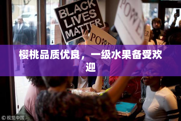 樱桃品质优良，一级水果备受欢迎