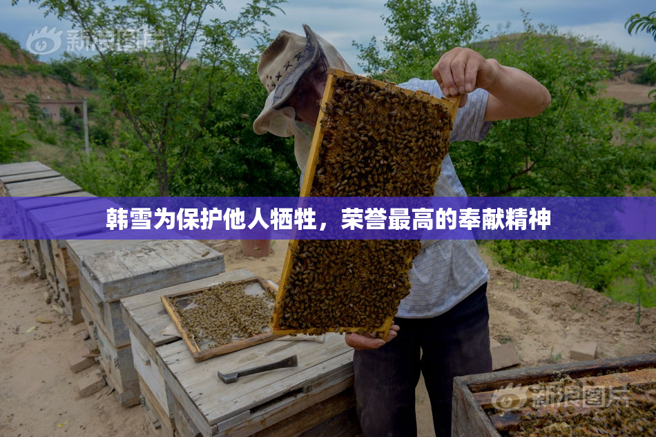 韩雪为保护他人牺牲，荣誉最高的奉献精神
