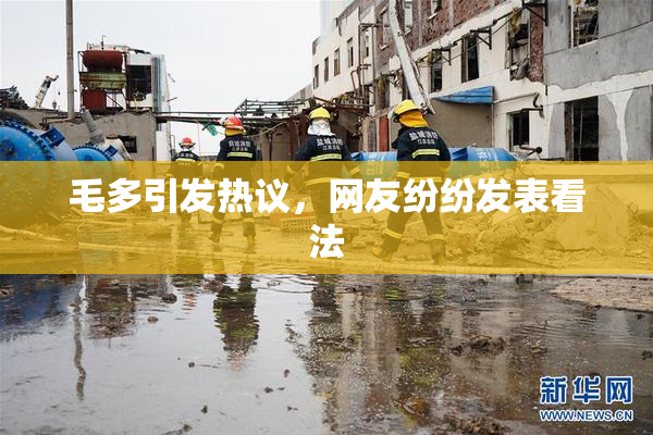 毛多引发热议，网友纷纷发表看法