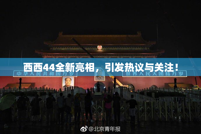 西西44全新亮相，引发热议与关注！