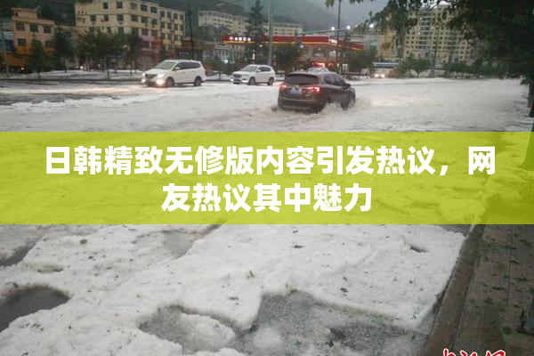 日韩精致无修版内容引发热议，网友热议其中魅力
