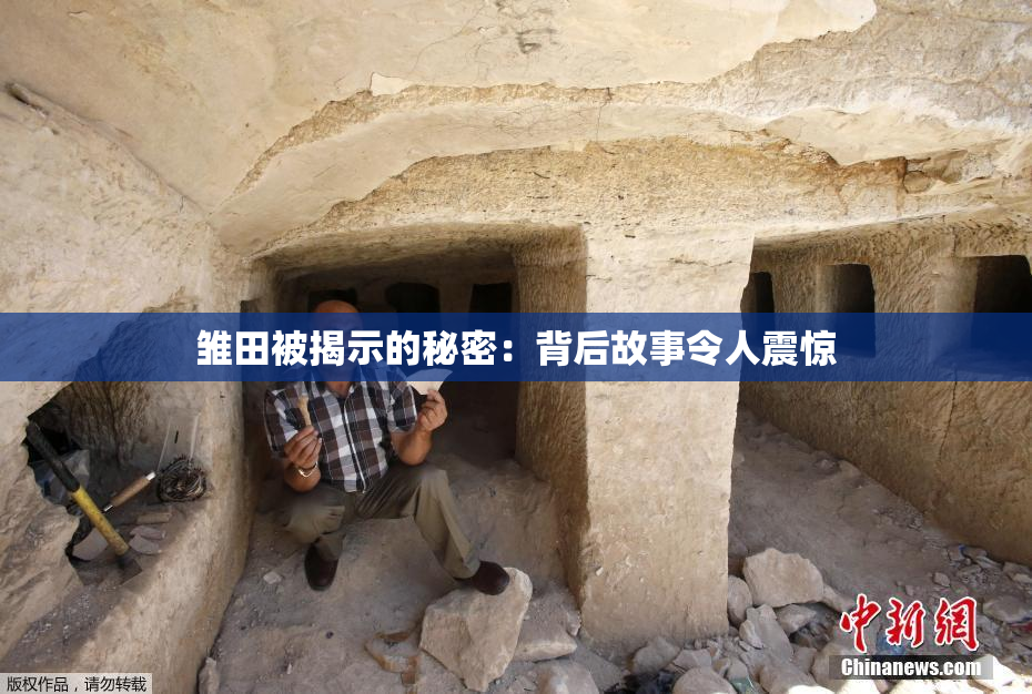 雏田被揭示的秘密：背后故事令人震惊