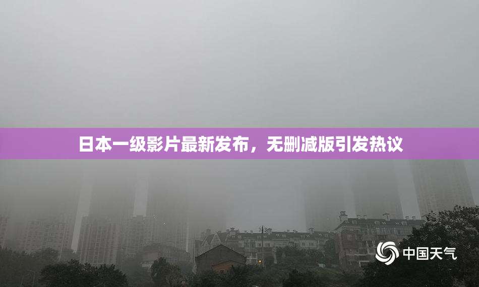 日本一级影片最新发布，无删减版引发热议