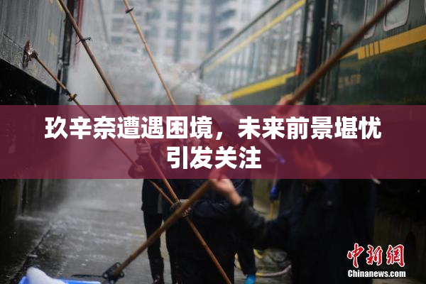 玖辛奈遭遇困境，未来前景堪忧引发关注