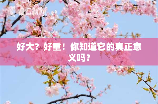 好大？好重！你知道它的真正意义吗？