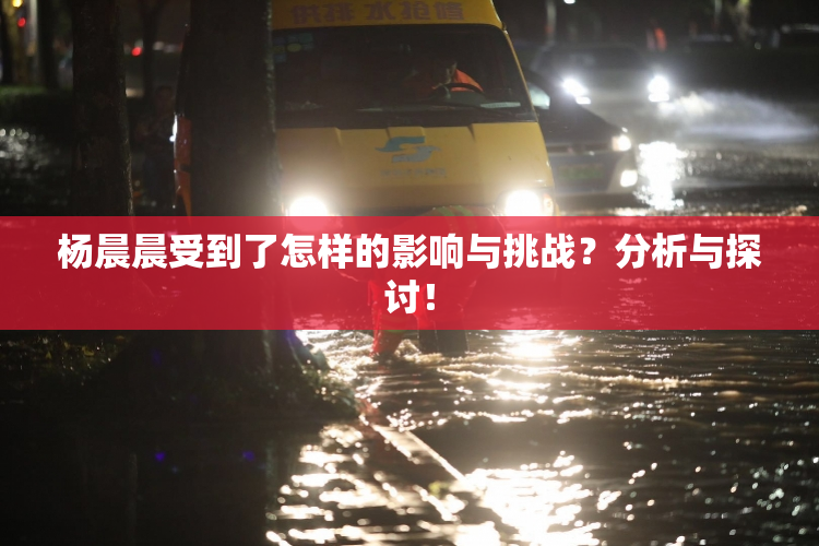 杨晨晨受到了怎样的影响与挑战？分析与探讨！