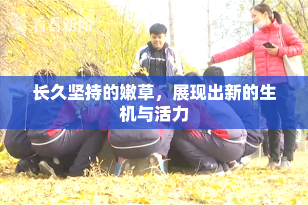 长久坚持的嫩草，展现出新的生机与活力