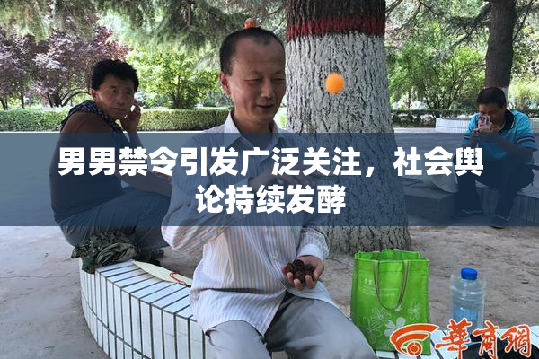 男男禁令引发广泛关注，社会舆论持续发酵