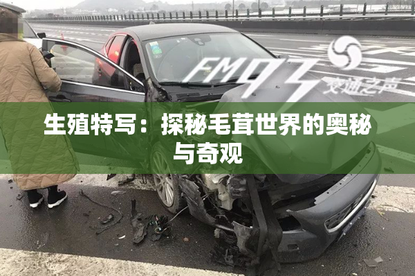 生殖特写：探秘毛茸世界的奥秘与奇观