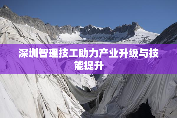 深圳智理技工助力产业升级与技能提升