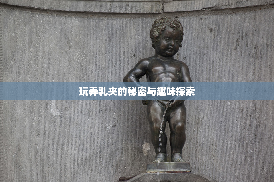玩弄乳夹的秘密与趣味探索