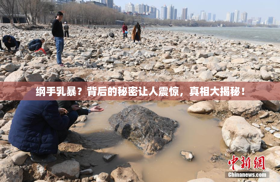 纲手乳暴？背后的秘密让人震惊，真相大揭秘！
