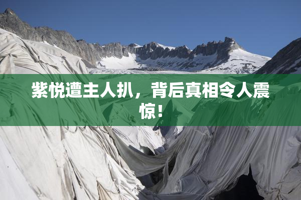 紫悦遭主人扒，背后真相令人震惊！