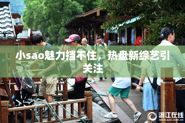 小sao魅力挡不住，热盘新综艺引关注